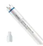 Philips LED Röhre T8 MASTER (EM/Mains) High Output 8W 1050lm - 840 Kaltweiß | 60cm - Ersatz für 18W